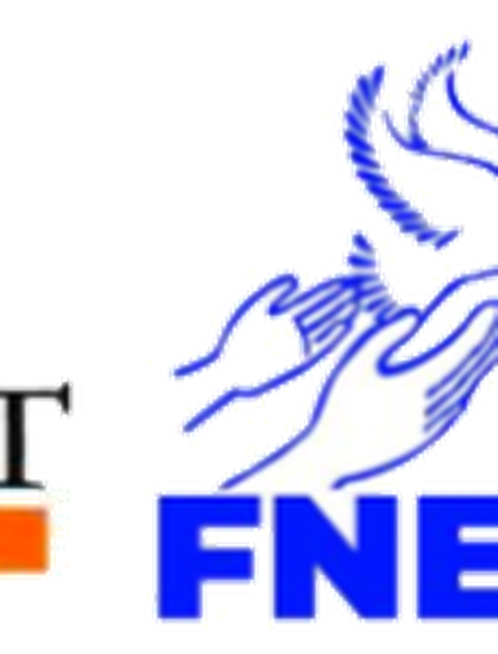 FNEB